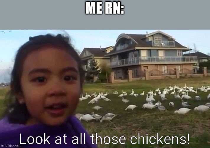 Look at All Those Chickens | ME RN:; Look at all those chickens! | image tagged in look at all those chickens | made w/ Imgflip meme maker