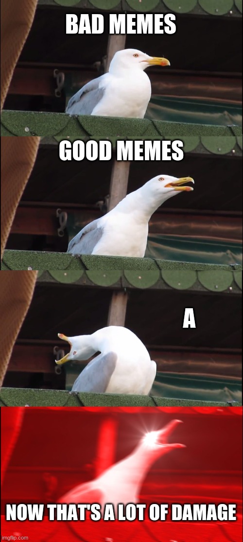 Inhaling Seagull | BAD MEMES; GOOD MEMES; A; NOW THAT'S A LOT OF DAMAGE | image tagged in memes,inhaling seagull | made w/ Imgflip meme maker