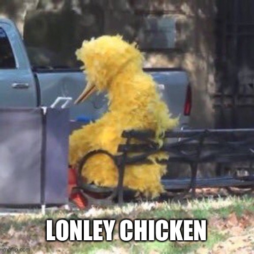 LONELY CHICKEN | made w/ Imgflip meme maker
