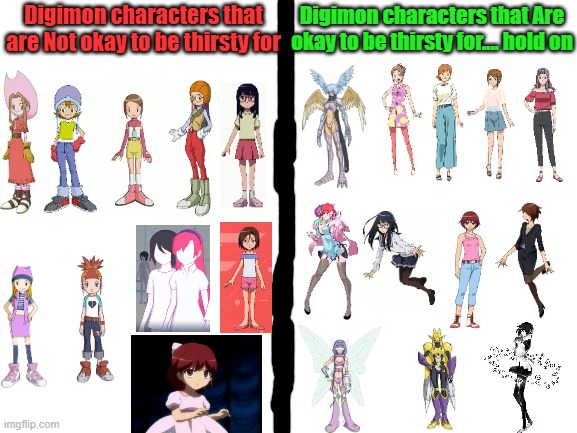 Blank White Template | Digimon characters that Are okay to be thirsty for.... hold on; Digimon characters that are Not okay to be thirsty for | image tagged in digimon,digimon adventure,digimon adventure 02,digimon tamers,digimon frontier,digimon savers | made w/ Imgflip meme maker