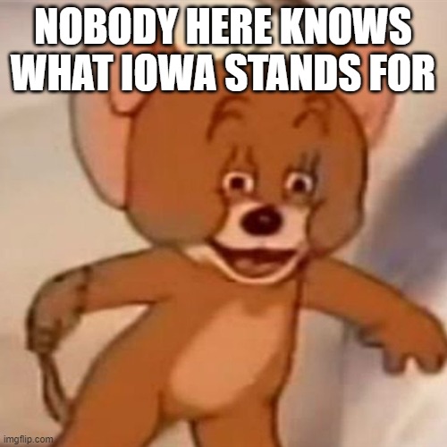 Polish Jerry | NOBODY HERE KNOWS WHAT IOWA STANDS FOR | image tagged in polish jerry | made w/ Imgflip meme maker