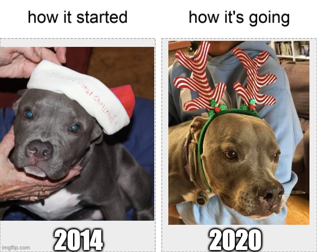 How it started vs how it's going | 2014                        2020 | image tagged in how it started vs how it's going | made w/ Imgflip meme maker