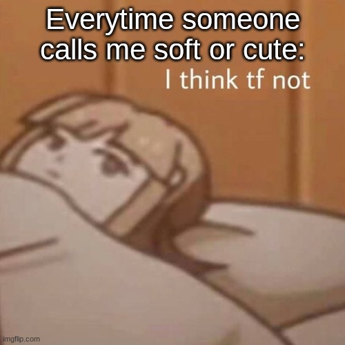 I think tf not | Everytime someone calls me soft or cute: | image tagged in i think tf not | made w/ Imgflip meme maker