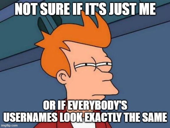 What happened to all the readable names? All I see now are names that run on forever and don't make any sense. | NOT SURE IF IT'S JUST ME; OR IF EVERYBODY'S USERNAMES LOOK EXACTLY THE SAME | image tagged in memes,futurama fry | made w/ Imgflip meme maker