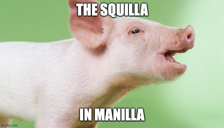 THE SQUILLA; IN MANILLA | made w/ Imgflip meme maker