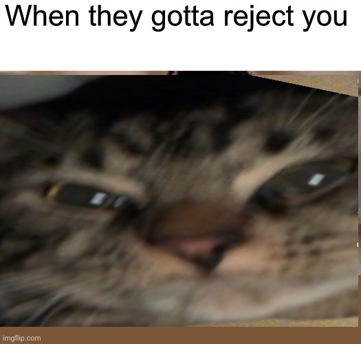When they gotta reject you | image tagged in memes,well yes but actually no | made w/ Imgflip meme maker