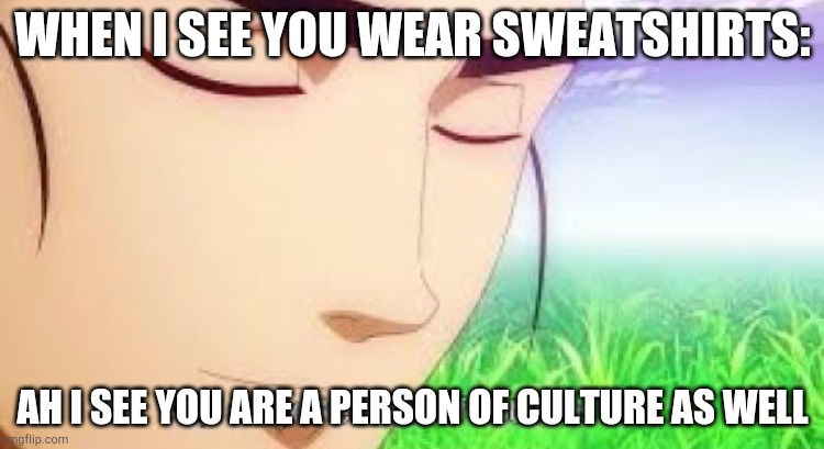 Ah i see your a man of culture as well | WHEN I SEE YOU WEAR SWEATSHIRTS:; AH I SEE YOU ARE A PERSON OF CULTURE AS WELL | image tagged in ah i see your a man of culture as well | made w/ Imgflip meme maker