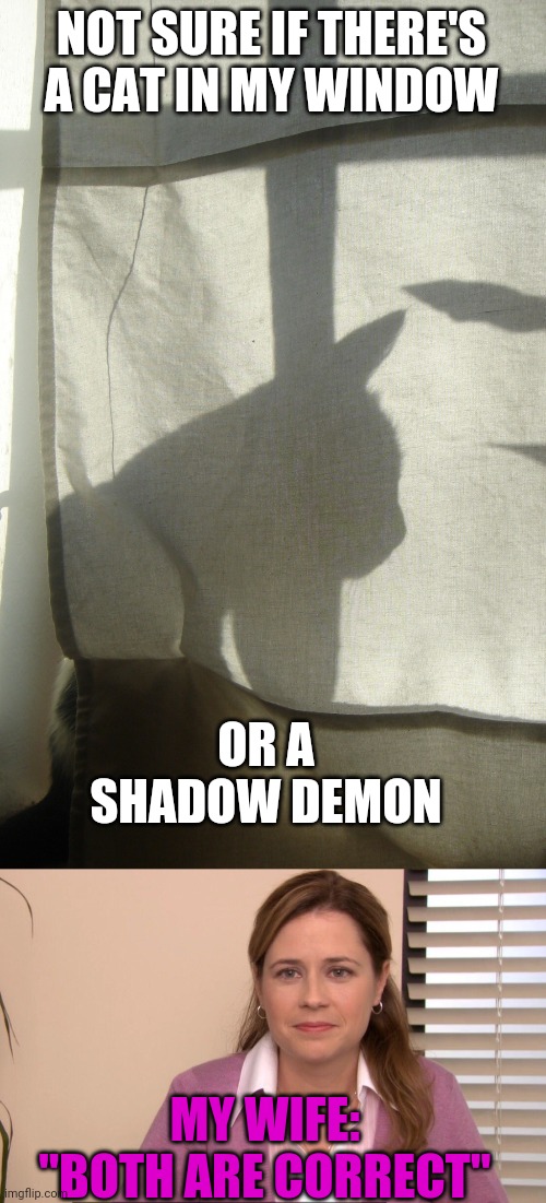 THIS REALLY HAPPENED | NOT SURE IF THERE'S A CAT IN MY WINDOW; OR A SHADOW DEMON; MY WIFE: "BOTH ARE CORRECT" | image tagged in memes,they're the same picture,cats,funny cats | made w/ Imgflip meme maker