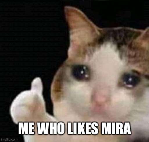 sad thumbs up cat | ME WHO LIKES MIRA | image tagged in sad thumbs up cat | made w/ Imgflip meme maker