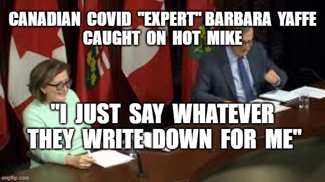 CANADIAN  COVID  "EXPERT" BARBARA  YAFFE
CAUGHT  ON  HOT  MIKE; "I  JUST  SAY  WHATEVER  THEY  WRITE  DOWN  FOR  ME" | image tagged in plandemic,barbara yaffe,covid19,china virus,fake pandemic | made w/ Imgflip meme maker