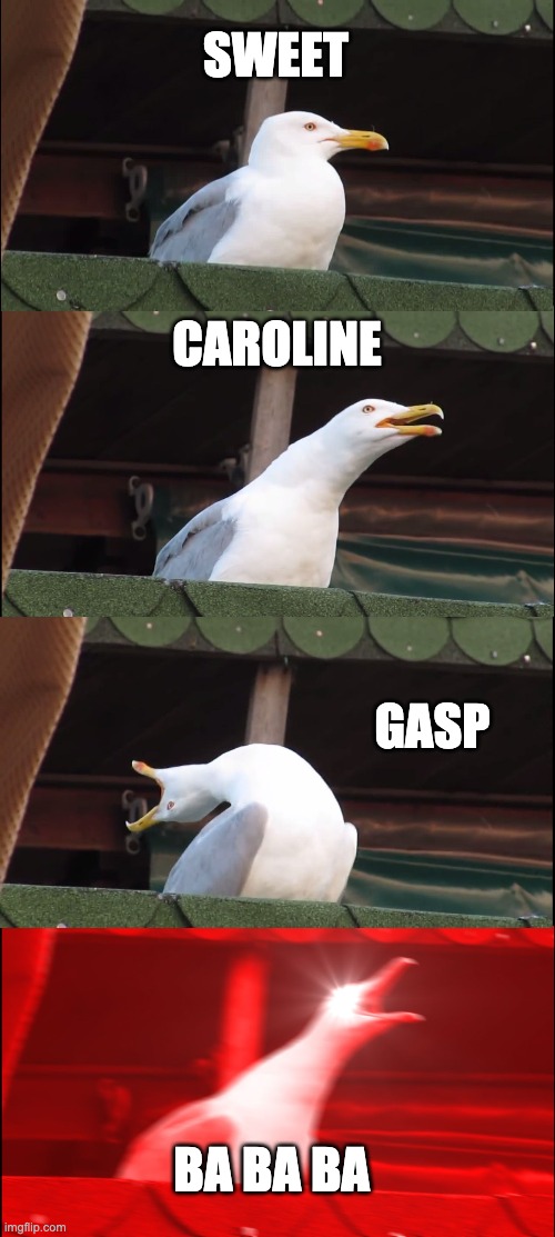 Inhaling Seagull Meme | SWEET; CAROLINE; GASP; BA BA BA | image tagged in memes,inhaling seagull | made w/ Imgflip meme maker