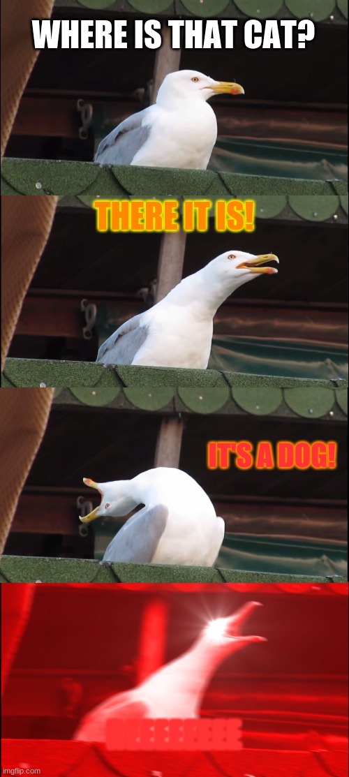Inhaling Seagull Meme | WHERE IS THAT CAT? THERE IT IS! IT'S A DOG! REEEEEEEE | image tagged in memes,inhaling seagull | made w/ Imgflip meme maker