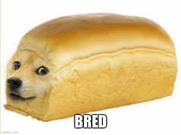 Doge bread | BRED | image tagged in doge bread | made w/ Imgflip meme maker