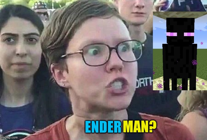 Triggered Liberal | ENDER; MAN? | image tagged in triggered liberal,minecraft,enderman,memes,funny | made w/ Imgflip meme maker