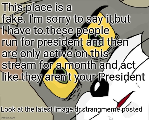 Unsettled Tom Meme | This place is a fake. I'm sorry to say it,but I have to.these people run for president and then are only active on this stream for a month and act like they aren't your President; Look at the latest image dr.strangmeme posted | image tagged in memes,unsettled tom | made w/ Imgflip meme maker