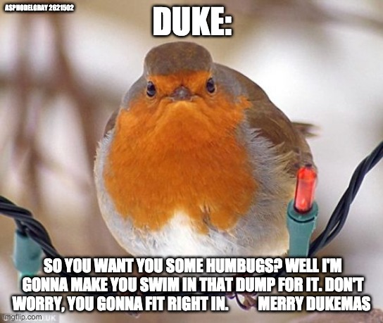 Bah Humbug Meme | ASPHODELGRAY 2621502; DUKE:; SO YOU WANT YOU SOME HUMBUGS? WELL I'M GONNA MAKE YOU SWIM IN THAT DUMP FOR IT. DON'T WORRY, YOU GONNA FIT RIGHT IN.          MERRY DUKEMAS | image tagged in memes,bah humbug | made w/ Imgflip meme maker