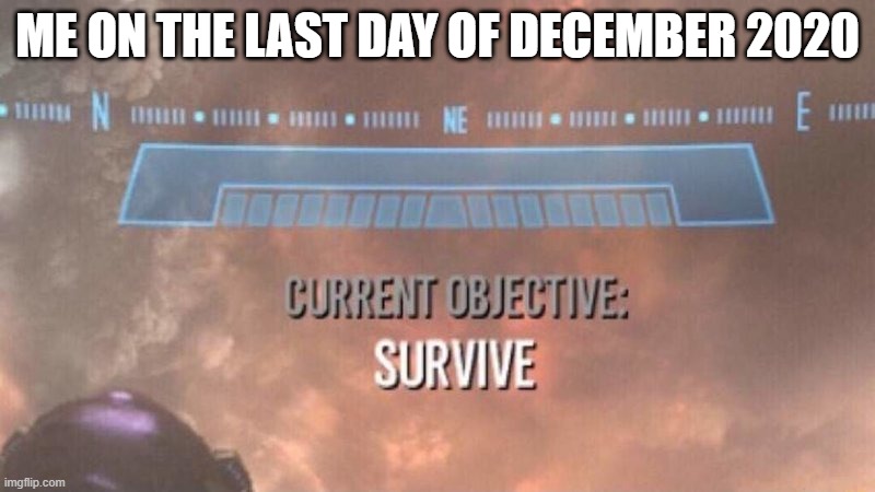 Current Objective: Survive | ME ON THE LAST DAY OF DECEMBER 2020 | image tagged in current objective survive | made w/ Imgflip meme maker