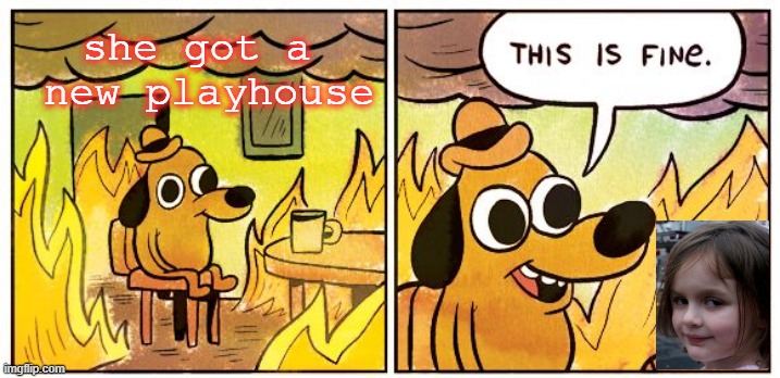 This Is Fine Meme | she got a
 new playhouse | image tagged in memes,this is fine | made w/ Imgflip meme maker