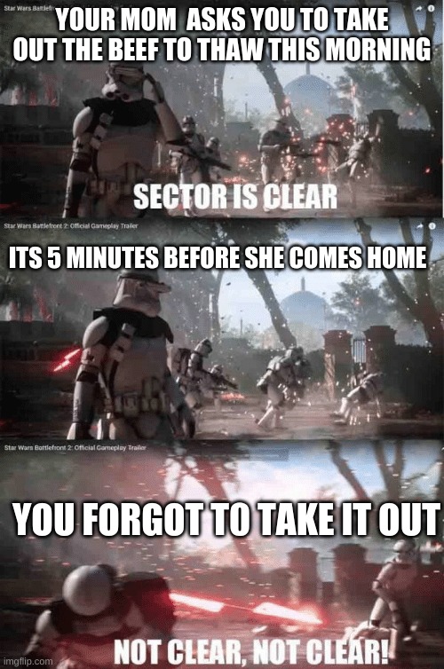 you forgot to thaw | YOUR MOM  ASKS YOU TO TAKE OUT THE BEEF TO THAW THIS MORNING; ITS 5 MINUTES BEFORE SHE COMES HOME; YOU FORGOT T0 TAKE IT OUT | image tagged in sector not clear | made w/ Imgflip meme maker