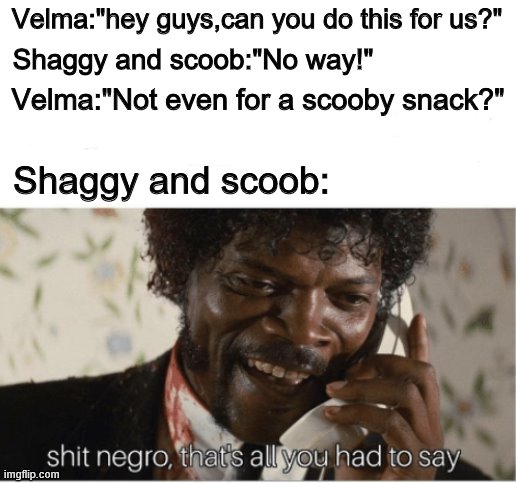 shit n**** |  Velma:"hey guys,can you do this for us?"; Shaggy and scoob:"No way!"; Velma:"Not even for a scooby snack?"; Shaggy and scoob: | image tagged in scooby doo,memes | made w/ Imgflip meme maker