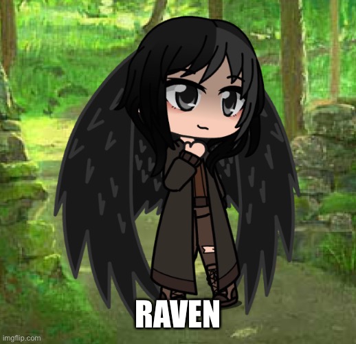 From: Druidawn | Found at: Places idk | RAVEN | made w/ Imgflip meme maker