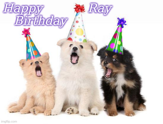 Happy Birthday Ray | Happy            Ray
   Birthday | image tagged in happy birthday puppies,memes,happy birthday,ray | made w/ Imgflip meme maker