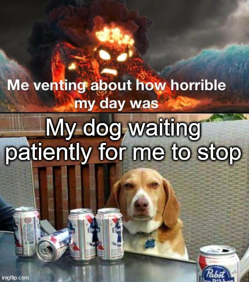 My dog waiting patiently for me to stop | image tagged in beer dog | made w/ Imgflip meme maker