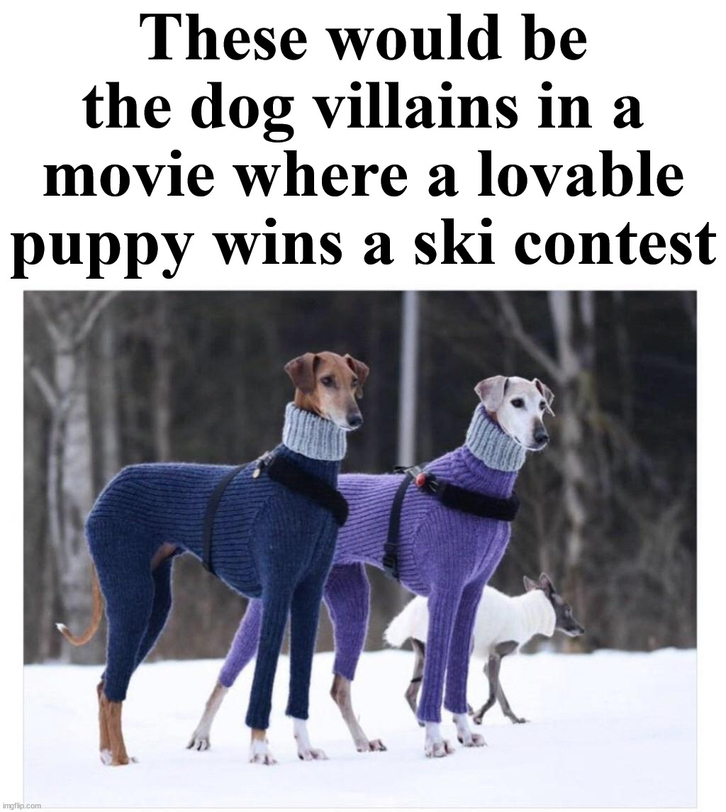 These would be the dog villains in a movie where a lovable puppy wins a ski contest | made w/ Imgflip meme maker