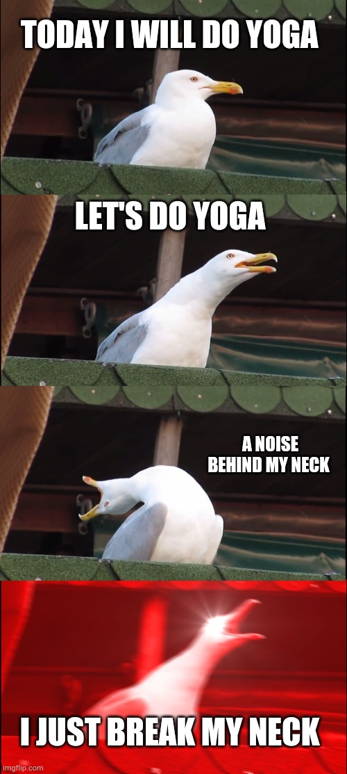 When you do yoga first time?? | TODAY I WILL DO YOGA; LET'S DO YOGA; A NOISE BEHIND MY NECK; I JUST BREAK MY NECK | image tagged in memes,inhaling seagull | made w/ Imgflip meme maker