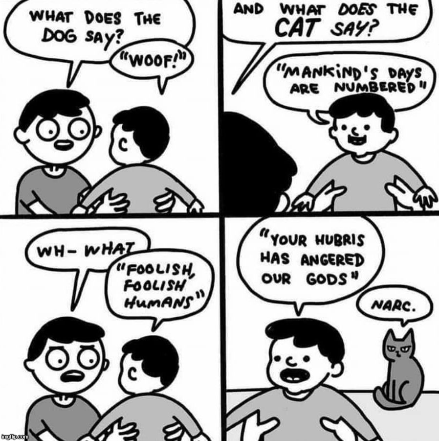 image tagged in comics/cartoons | made w/ Imgflip meme maker