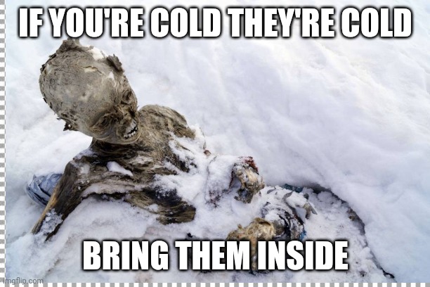 Bring the dead inside | IF YOU'RE COLD THEY'RE COLD; BRING THEM INSIDE | image tagged in dead,inside,freezing,cold,corpse party,funny | made w/ Imgflip meme maker