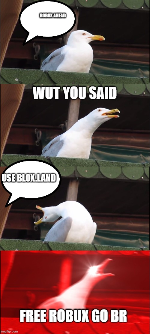 Inhaling Seagull | ROBUX AHEAD; WUT YOU SAID; USE BLOX.LAND; FREE ROBUX GO BR | image tagged in memes,inhaling seagull | made w/ Imgflip meme maker
