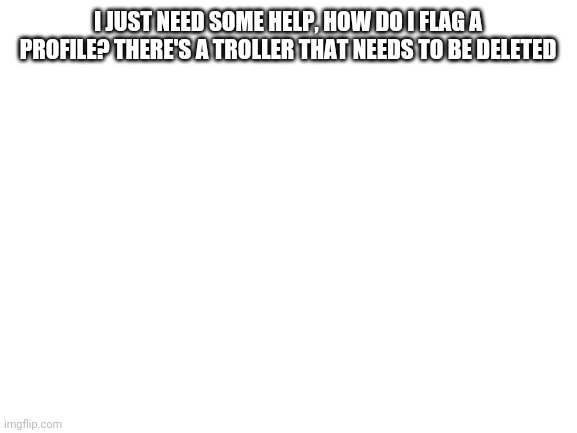 I need help (this isnt a meme) | I JUST NEED SOME HELP, HOW DO I FLAG A PROFILE? THERE'S A TROLLER THAT NEEDS TO BE DELETED | image tagged in blank white template,moderators,question | made w/ Imgflip meme maker