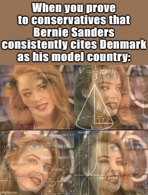 Denmark is capitalist they say: Well then. What does that make Bernie Sanders? | When you prove to conservatives that Bernie Sanders consistently cites Denmark as his model country: | image tagged in calculating kylie | made w/ Imgflip meme maker