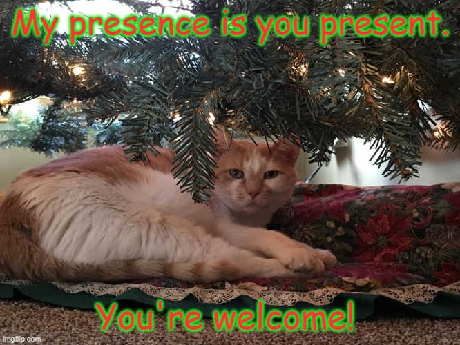 My presence is you present. You're welcome! | image tagged in memes,cats,christmas | made w/ Imgflip meme maker