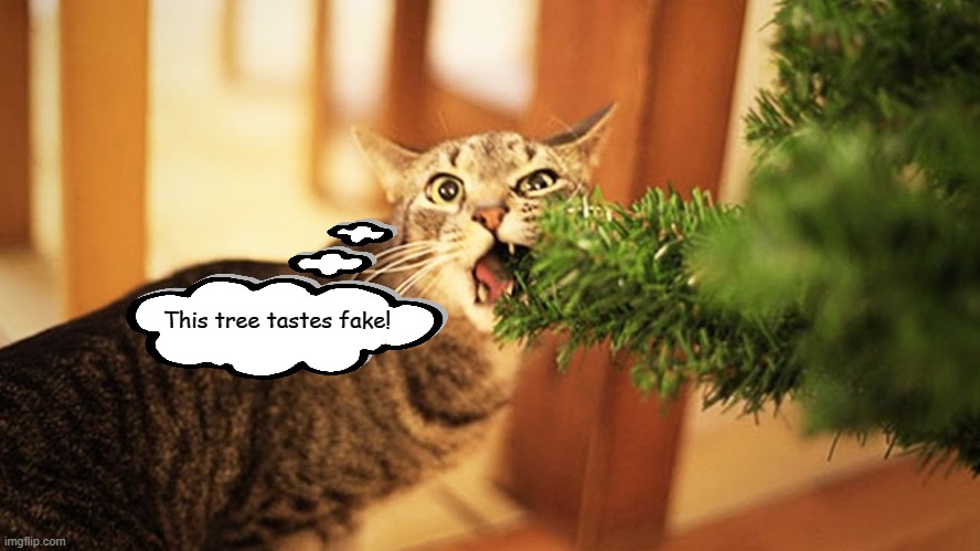 This tree tastes fake! | image tagged in memes,cats,christmas | made w/ Imgflip meme maker