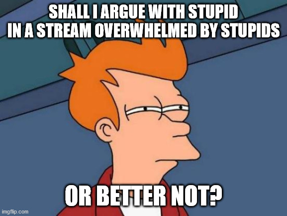 Futurama Fry Meme | SHALL I ARGUE WITH STUPID IN A STREAM OVERWHELMED BY STUPIDS OR BETTER NOT? | image tagged in memes,futurama fry | made w/ Imgflip meme maker