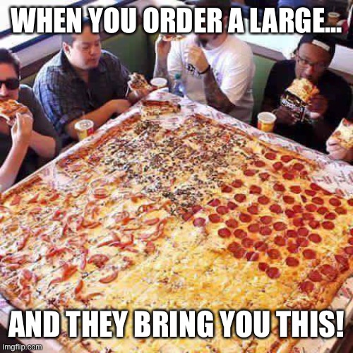 When you order a.... |  WHEN YOU ORDER A LARGE... AND THEY BRING YOU THIS! | image tagged in pizza,i got this,when you,oof size large,family size,oof | made w/ Imgflip meme maker
