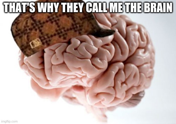 Scumbag Brain Meme | THAT'S WHY THEY CALL ME THE BRAIN | image tagged in memes,scumbag brain | made w/ Imgflip meme maker
