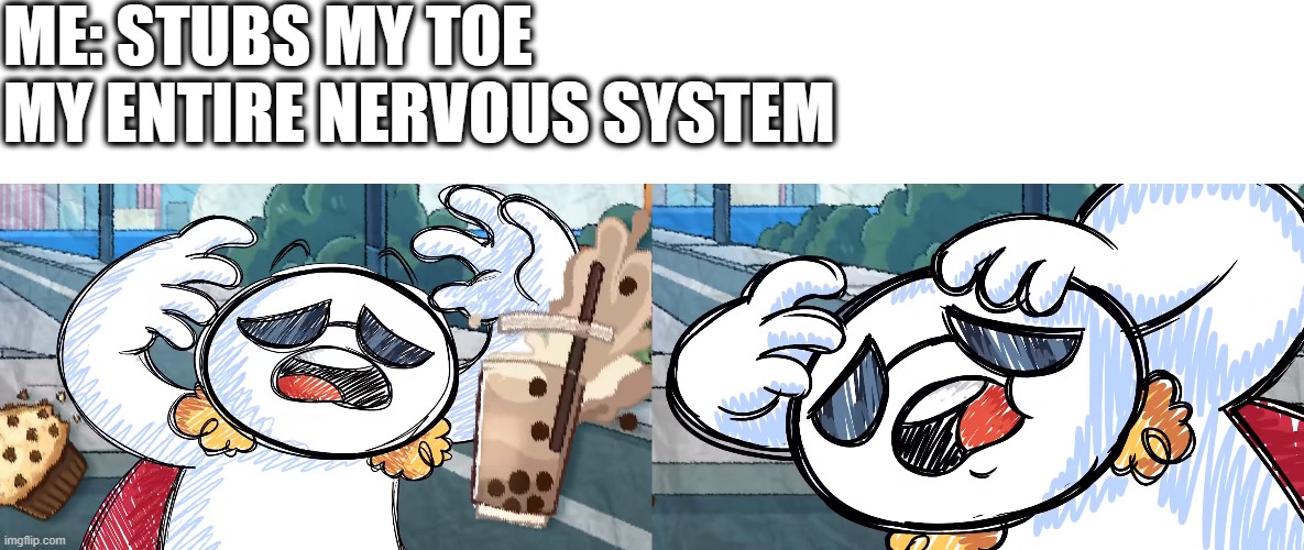 why does this happen? | ME: STUBS MY TOE
MY ENTIRE NERVOUS SYSTEM | image tagged in memes,annoying | made w/ Imgflip meme maker