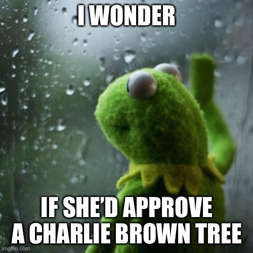 sometimes I wonder  | I WONDER IF SHE’D APPROVE A CHARLIE BROWN TREE | image tagged in sometimes i wonder | made w/ Imgflip meme maker