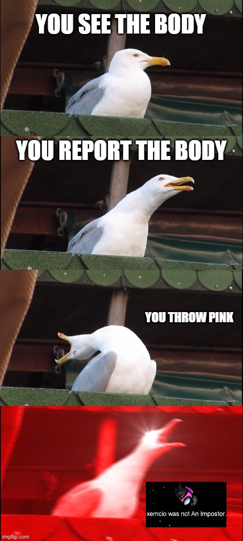 typical crewmate | YOU SEE THE BODY; YOU REPORT THE BODY; YOU THROW PINK | image tagged in memes,inhaling seagull | made w/ Imgflip meme maker