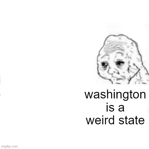 Yes Honey | washington is a weird state | image tagged in yes honey | made w/ Imgflip meme maker