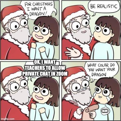 For Christmas I Want a Dragon | OK, I WANT TEACHERS TO ALLOW PRIVATE CHAT IN ZOOM; BLUE | image tagged in for christmas i want a dragon | made w/ Imgflip meme maker