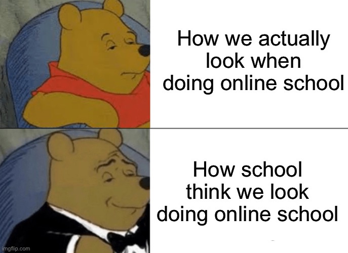 Tuxedo Winnie The Pooh | How we actually look when doing online school; How school think we look doing online school | image tagged in memes,tuxedo winnie the pooh | made w/ Imgflip meme maker