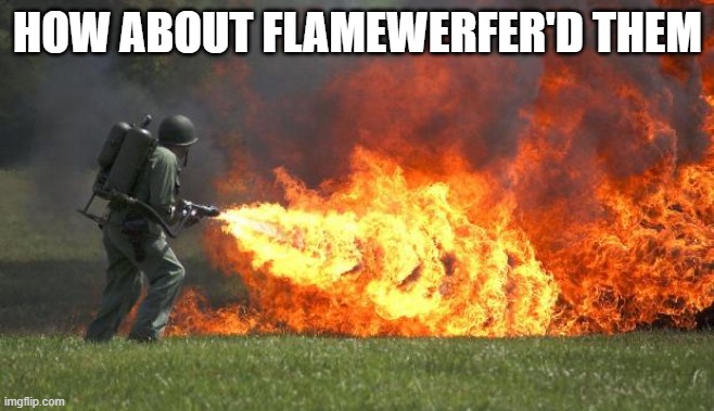 flamethrower | HOW ABOUT FLAMEWERFER'D THEM | image tagged in flamethrower | made w/ Imgflip meme maker
