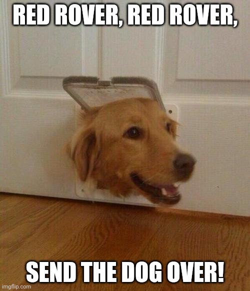 Dog door | RED ROVER, RED ROVER, SEND THE DOG OVER! | image tagged in dog door | made w/ Imgflip meme maker