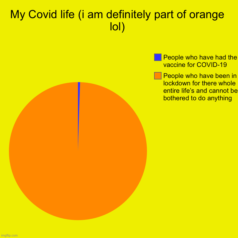 Have your say (pls comment on which one you are | My Covid life (i am definitely part of orange lol) | People who have been in lockdown for there whole entire life’s and cannot be bothered t | image tagged in charts,pie charts,covid-19 | made w/ Imgflip chart maker