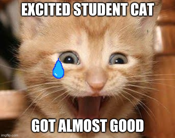 Excited Cat Meme | EXCITED STUDENT CAT; GOT ALMOST GOOD | image tagged in memes,excited cat | made w/ Imgflip meme maker