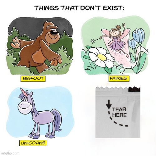 Things That Don't Exist | image tagged in memes,funny | made w/ Imgflip meme maker